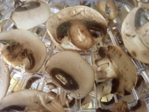 Pilz in der Trocknung im Dörrautomat