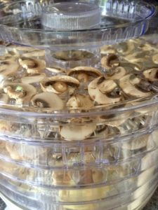 Champignons im Dörrautomaten